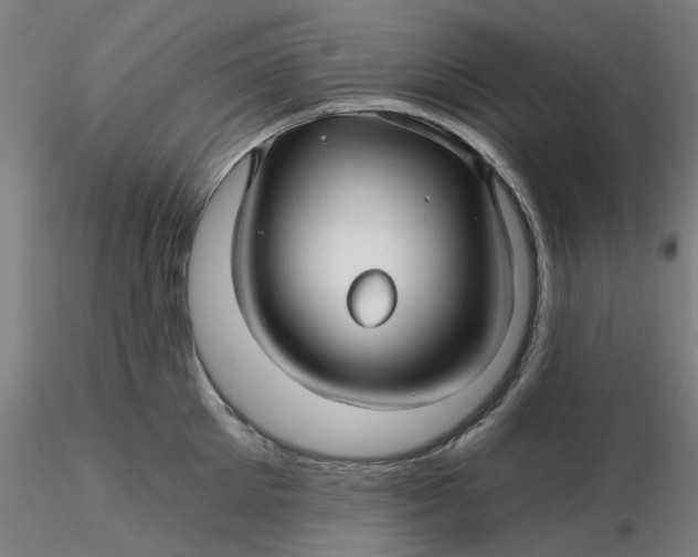 X0000116340905200912221438