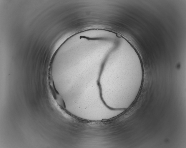 X0000116340906200912221438