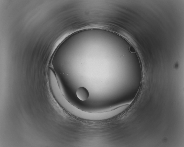 X0000116340907200912221438