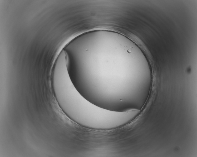 X0000116340908200912221438