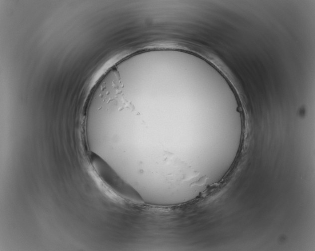 X0000116340909200912221438