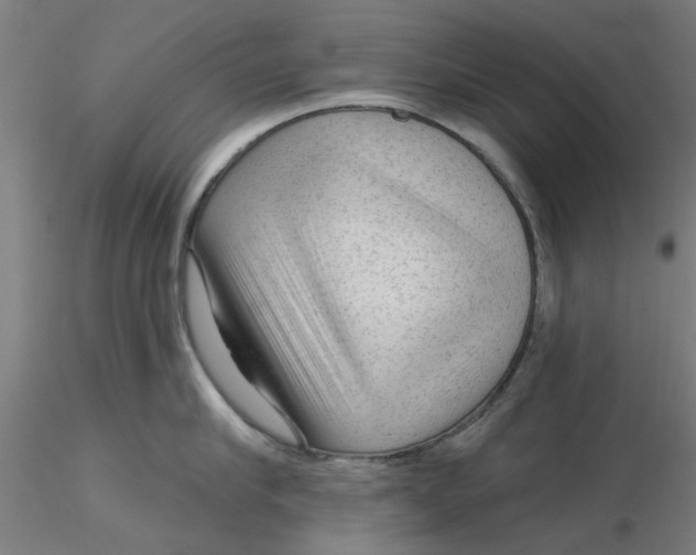 X0000116340910200912221438