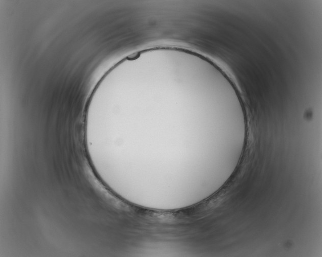 X0000116340911200912221438