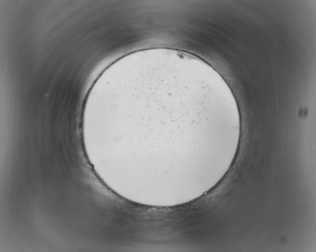 X0000116340912200912221438