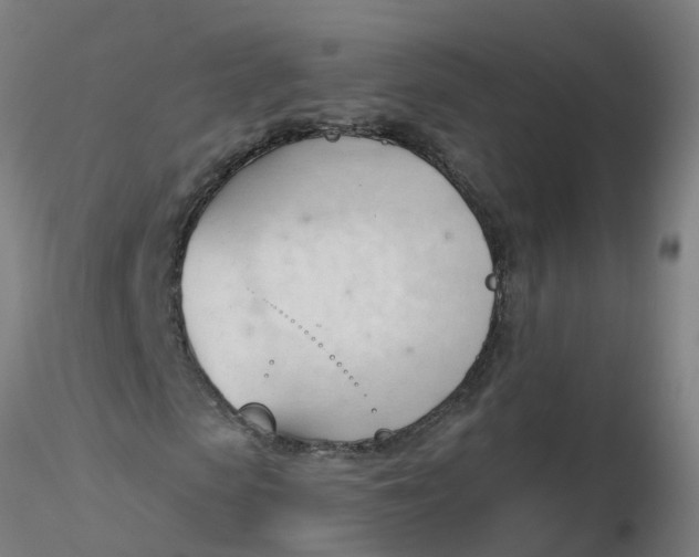 X0000116340913200912221437