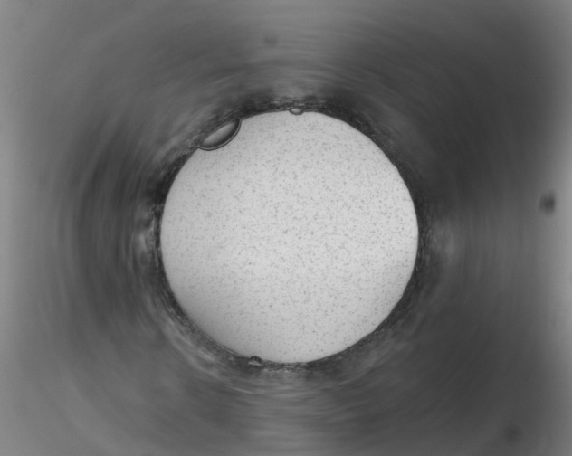 X0000116340914200912221438