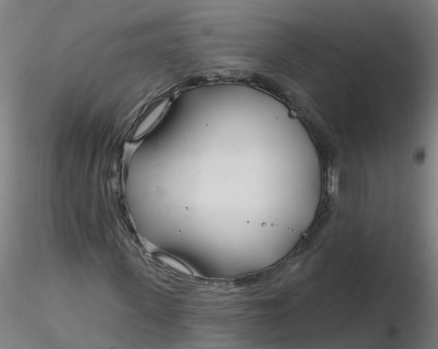 X0000116340915200912221438