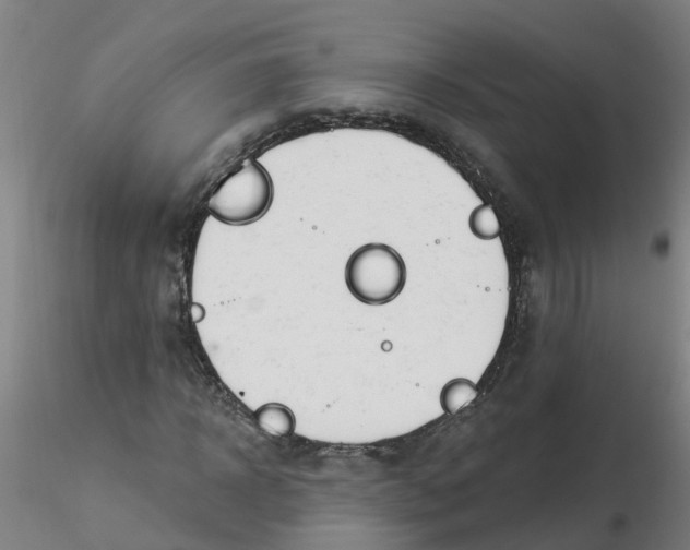 X0000116340918200912221438