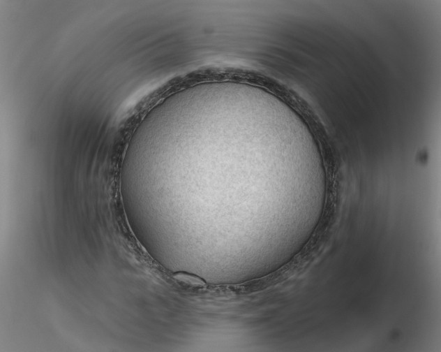 X0000116340919200912221438