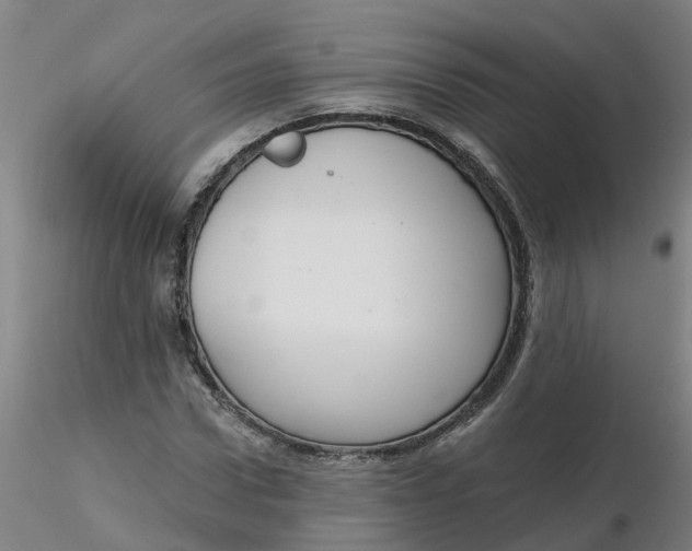 X0000116340922200912221438