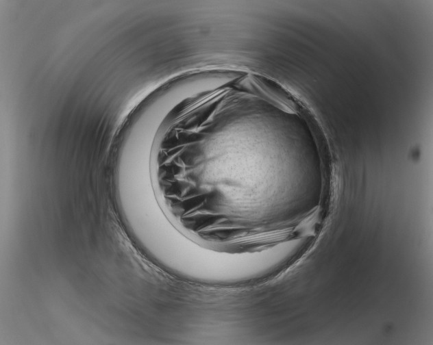 X0000116340925200912221438