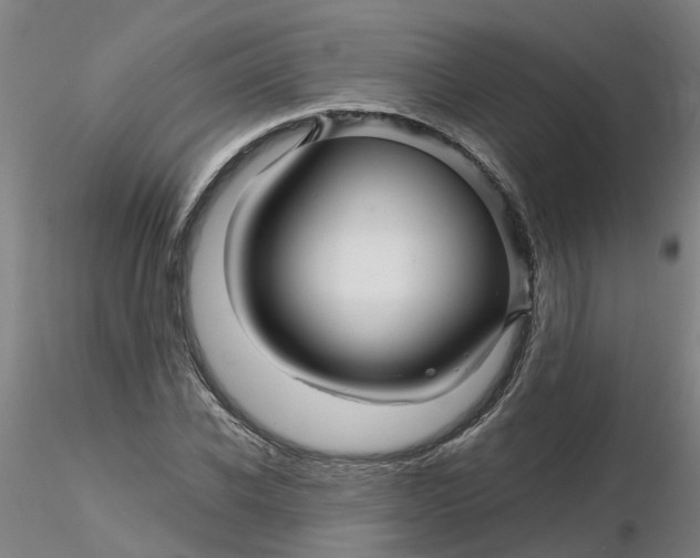 X0000116340926200912221438