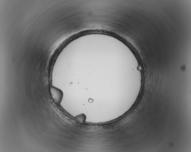 X0000116340927200912221438