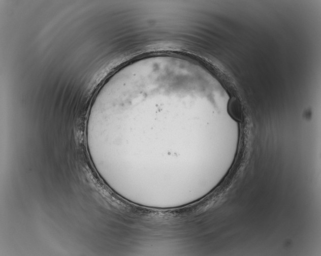 X0000116340929200912221438