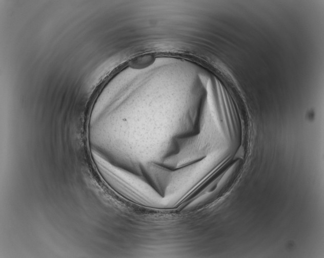 X0000116340930200912221438