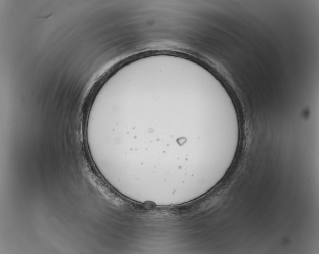 X0000116340931200912221438