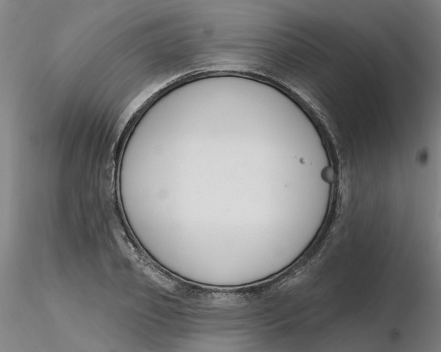 X0000116340933200912221438