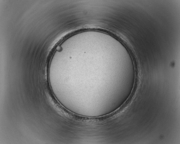 X0000116340934200912221438