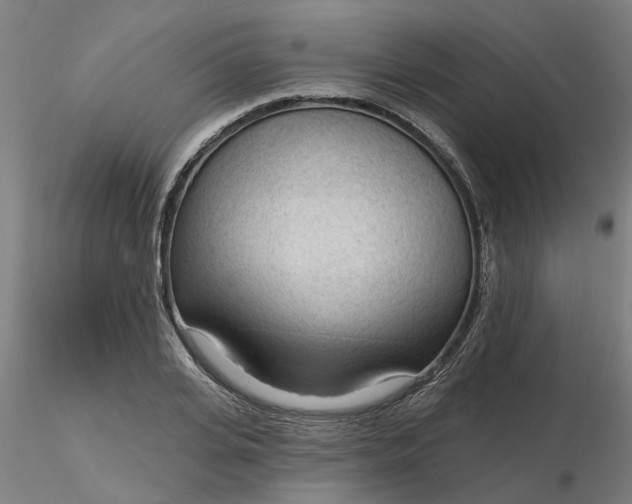 X0000116340935200912221438