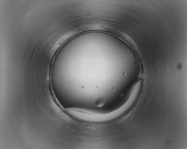 X0000116340938200912221438