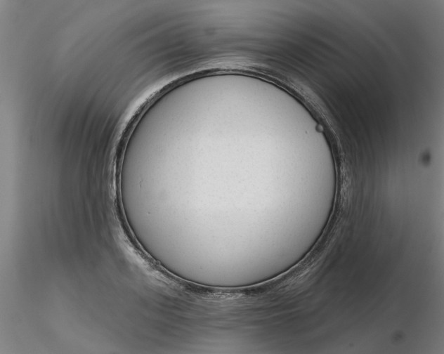 X0000116340939200912221438