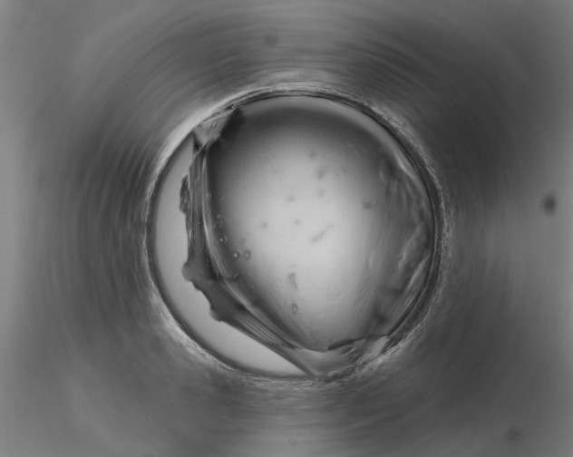 X0000116340941200912221438