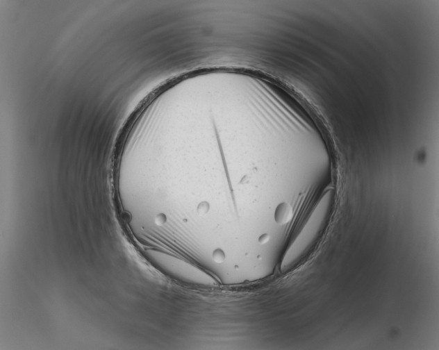 X0000116340942200912221438