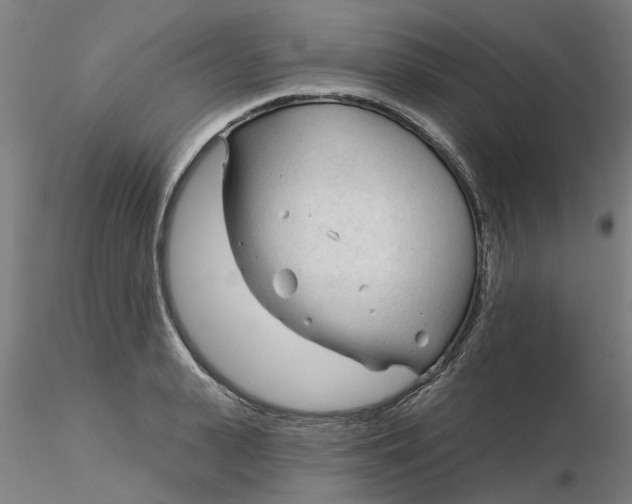 X0000116340943200912221438