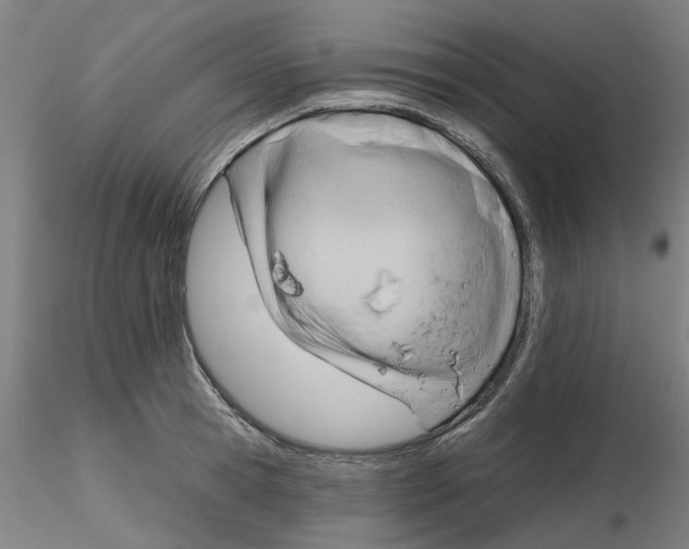 X0000116340945200912221438