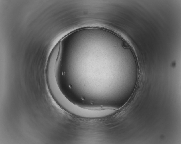 X0000116340951200912221438