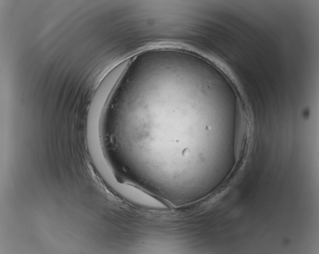 X0000116340953200912221438