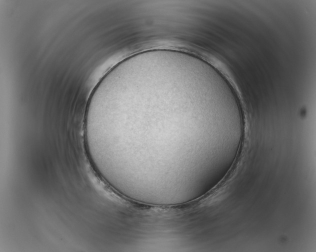 X0000116340954200912221438