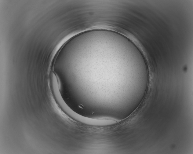 X0000116340955200912221438