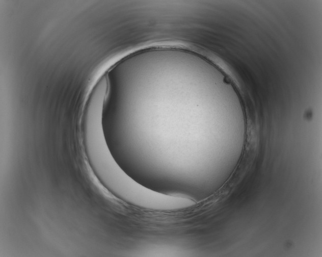 X0000116340959200912221438