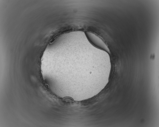 X0000116340961200912221437