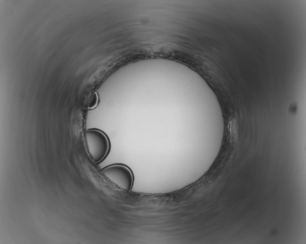 X0000116340963200912221437