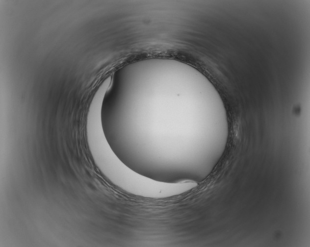 X0000116340964200912221437