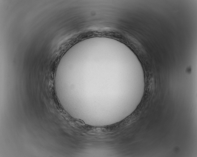 X0000116340966200912221437