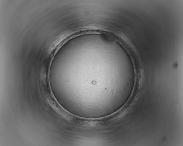 X0000116340969200912221437