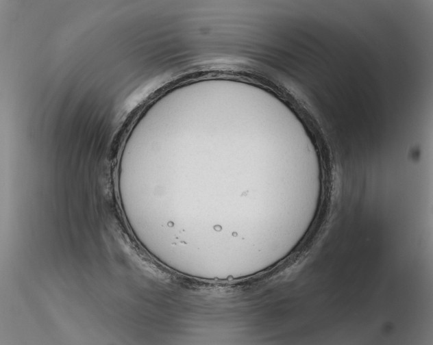 X0000116340970200912221437