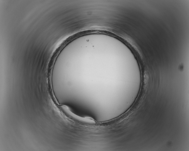 X0000116340972200912221437