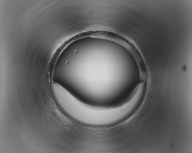 X0000116340973200912221437