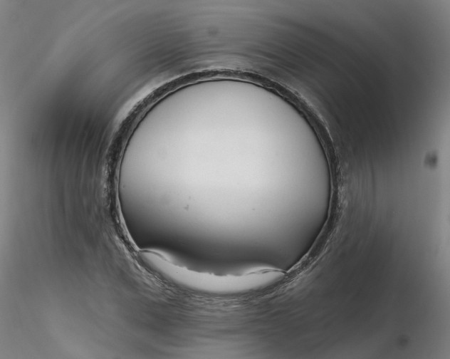 X0000116340975200912221437