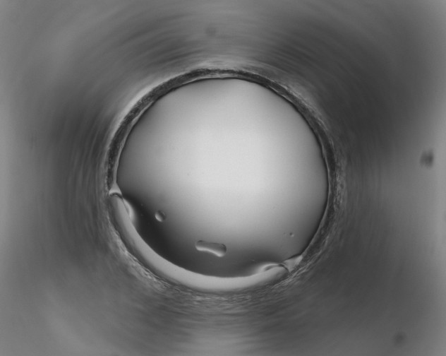 X0000116340976200912221437