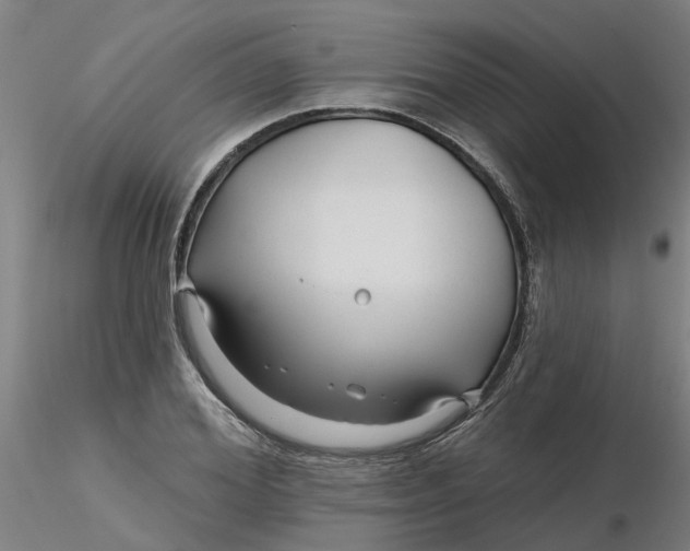 X0000116340980200912221437