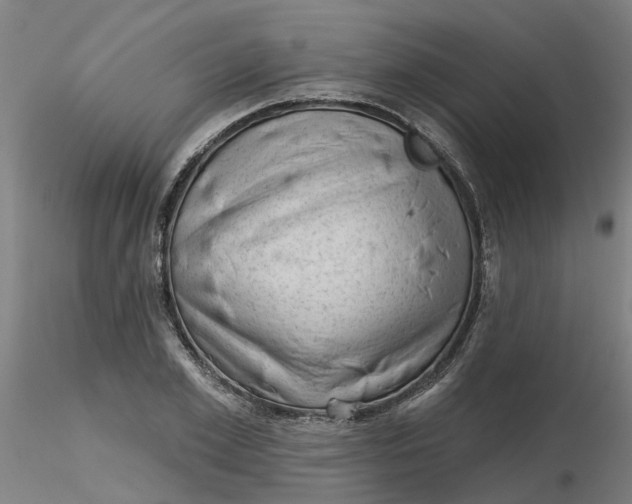 X0000116340981200912221437