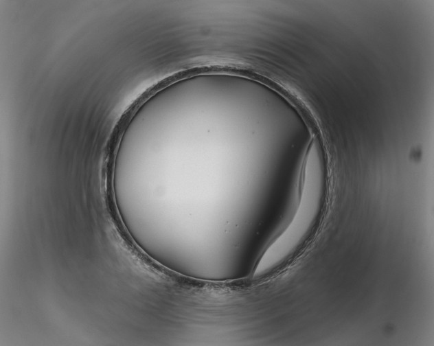 X0000116340983200912221437