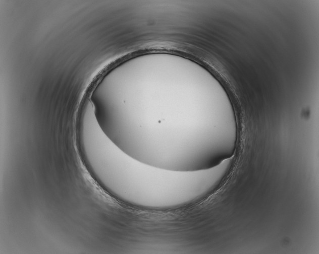 X0000116340984200912221437