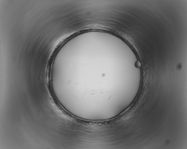 X0000116340987200912221437