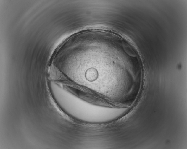 X0000116340989200912221437